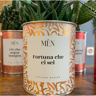 CACTUS MËN "FORTUNA CHE CI SEI"