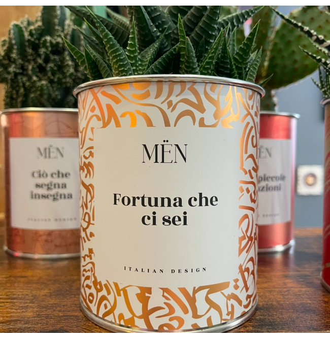 CACTUS MËN "FORTUNA CHE CI SEI"