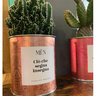 CACTUS MËN "CIO' CHE SEGNA INSEGNA"