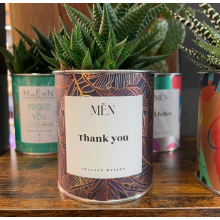 CACTUS MËN "THANK YOU"