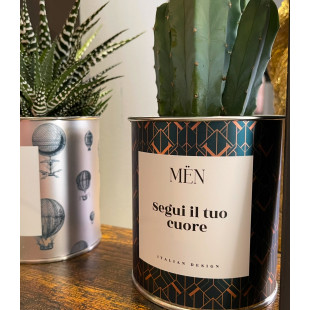 CACTUS MËN "SEGUI IL TUO CUORE"