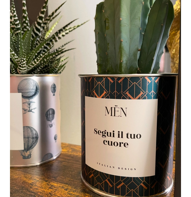 CACTUS MËN "SEGUI IL TUO CUORE"