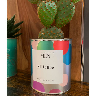 CACTUS MËN "SII FELICE"