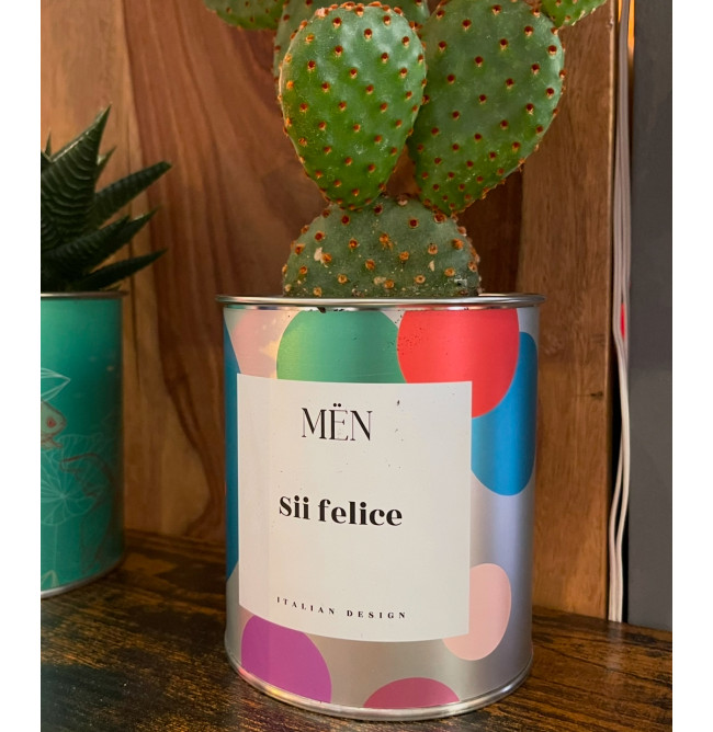 CACTUS MËN "SII FELICE"