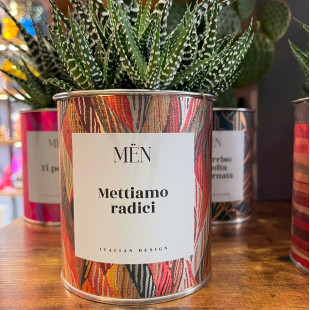 CACTUS MËN "METTIAMO RADICI"