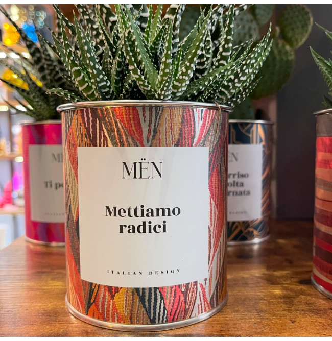 CACTUS MËN "METTIAMO RADICI"