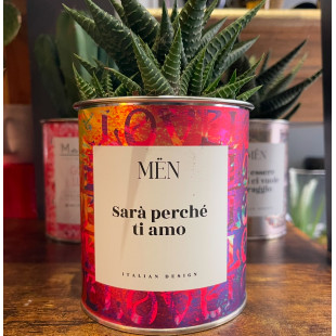 CACTUS MËN "SARA' PERCHE' TI AMO"