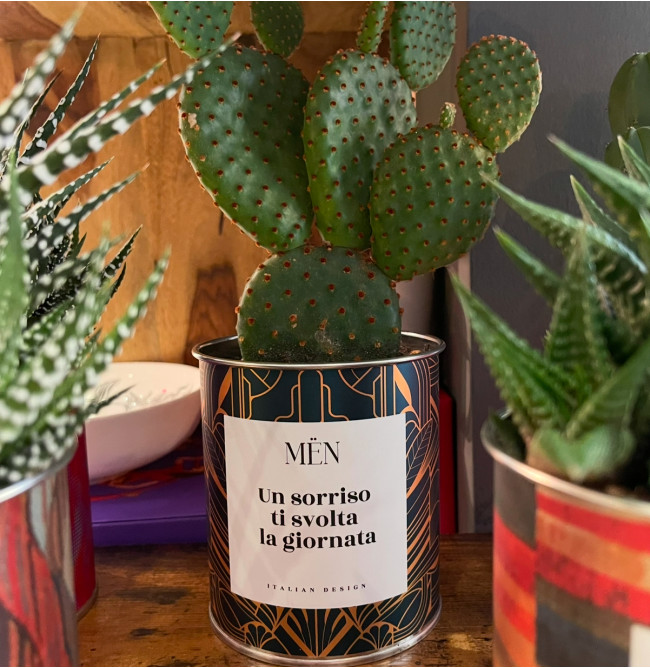 CACTUS MËN "UN SORRISO TI SVOLTA LA GIORNATA"