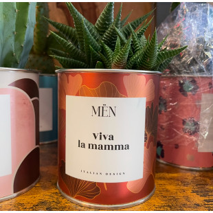 CACTUS MËN "VIVA LA MAMMA"