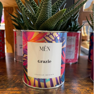 CACTUS MËN "GRAZIE"