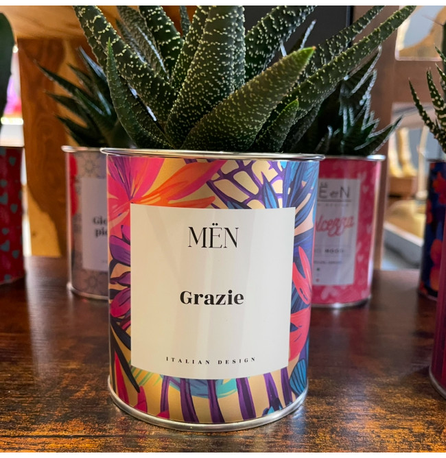 CACTUS MËN "GRAZIE"