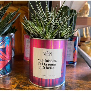 CACTUS MËN "NEL DUBBIO FAI LA COSA PIU' BELLA"