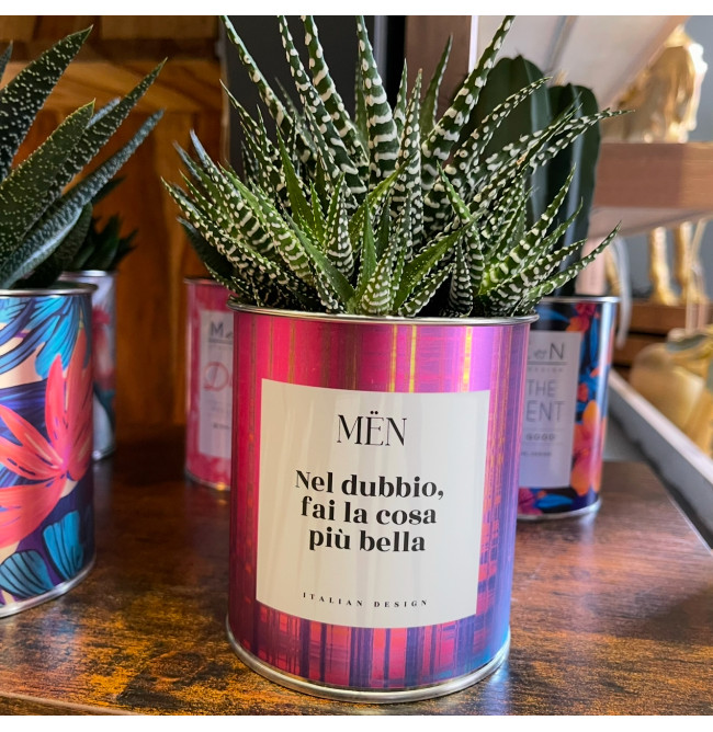 CACTUS MËN "NEL DUBBIO FAI LA COSA PIU' BELLA"