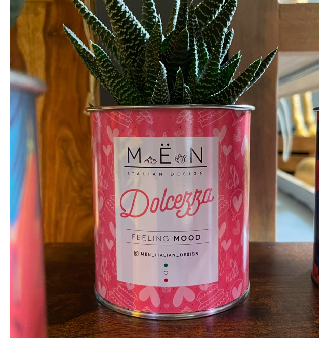 CACTUS MËN "DOLCEZZA"