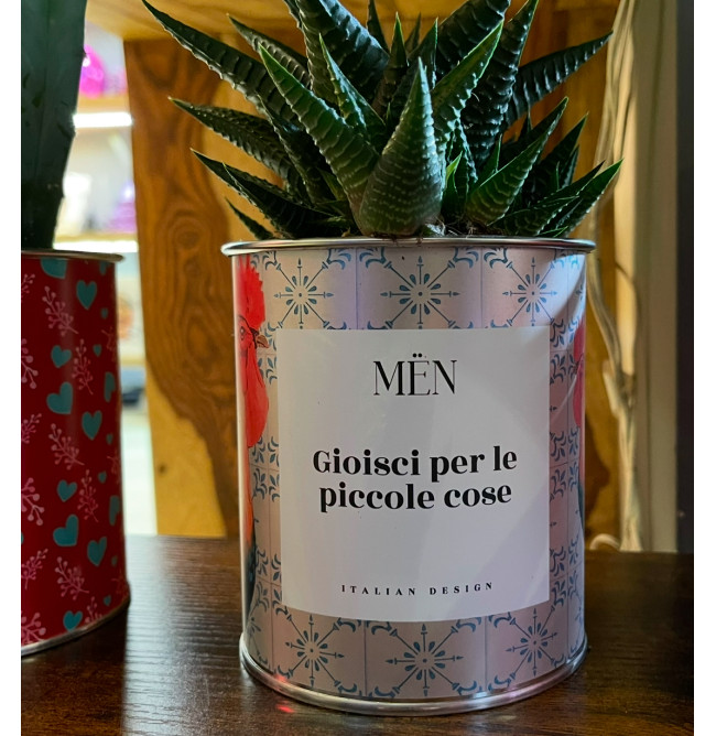 CACTUS MËN "GIOISCI PER LE PICCOLE COSE"