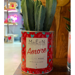 CACTUS MËN "AMORE"