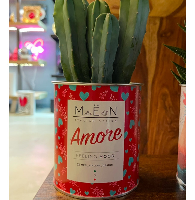 CACTUS MËN "AMORE"