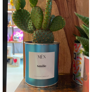 CACTUS MËN "SMILE"