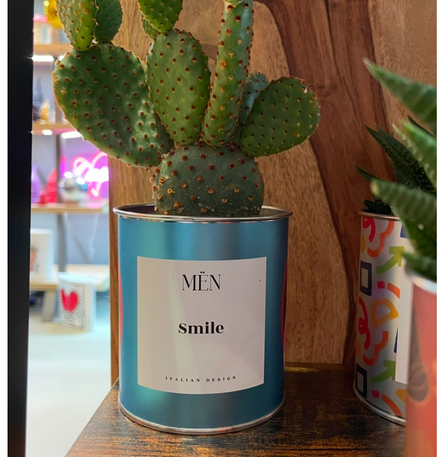 CACTUS MËN "SMILE"