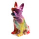 BULLDOG FRANCESE CRAVATTA RAINBOW